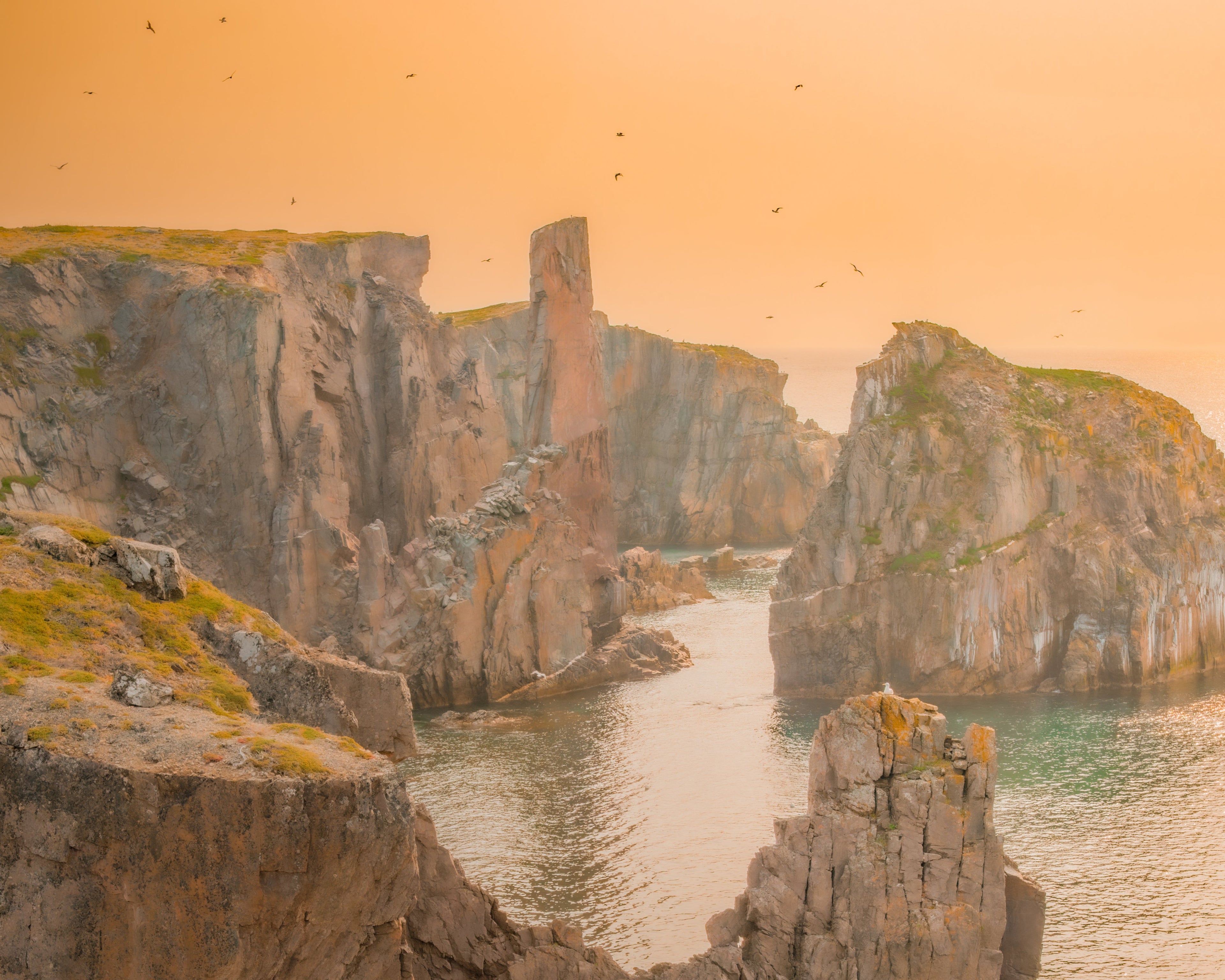 Newfoundland, Canada