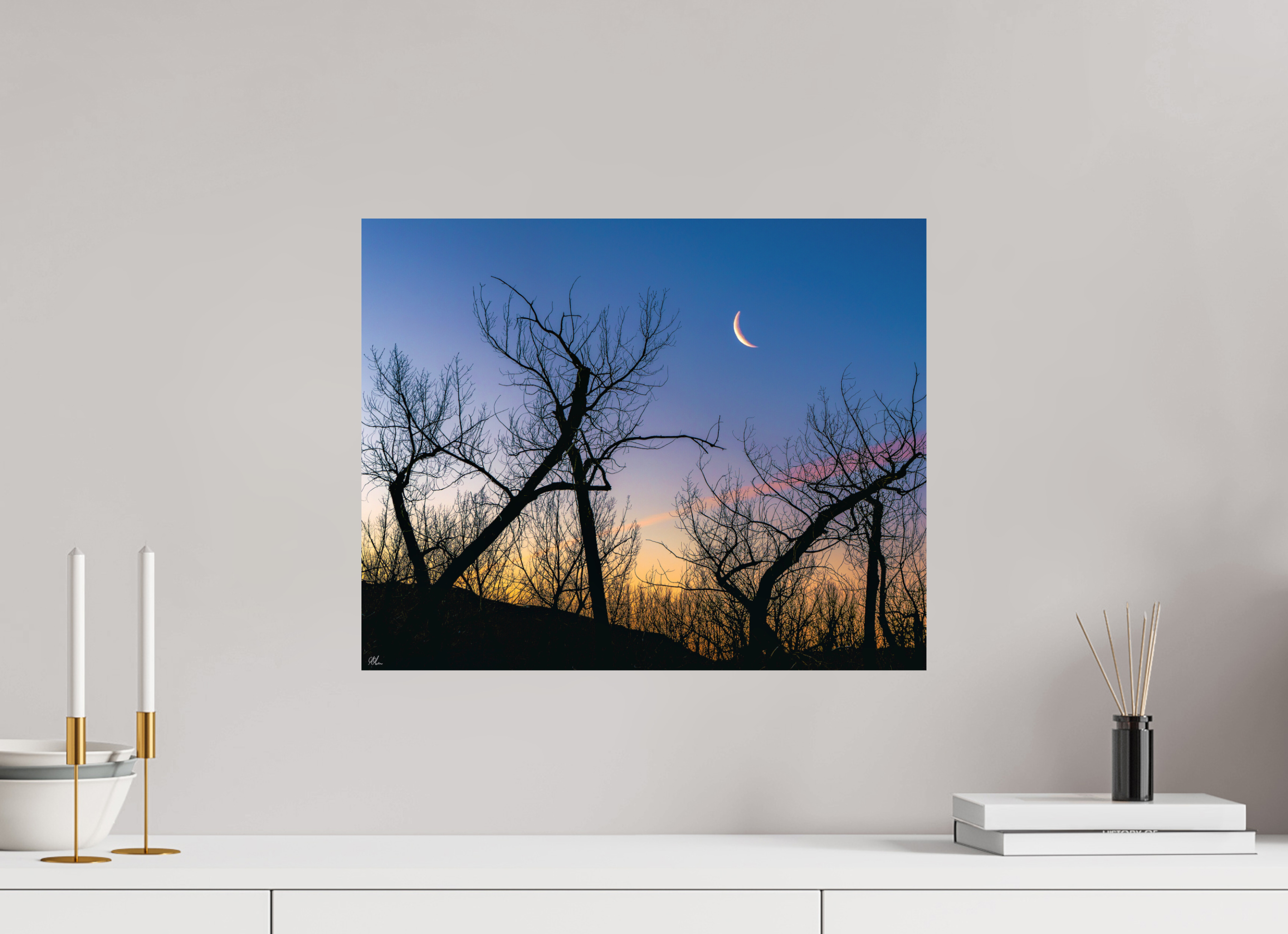 50 x 40 cm, Print - Fuji Crystal Archive Tangled