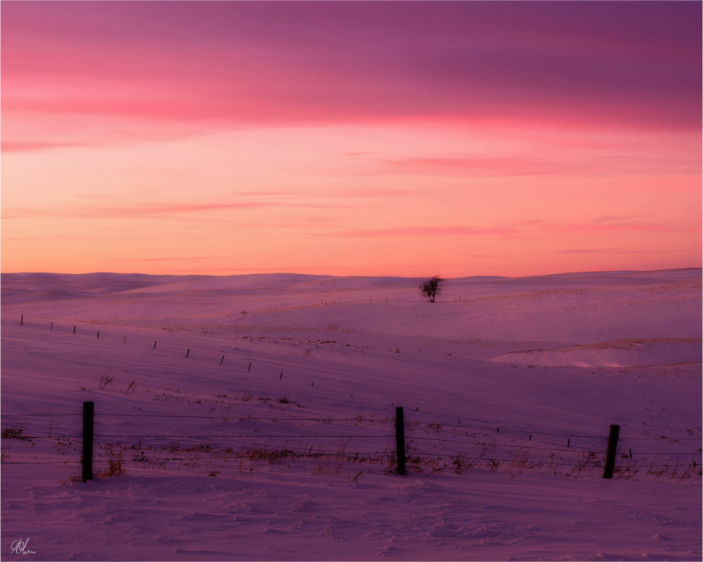 Main image Winters Blush