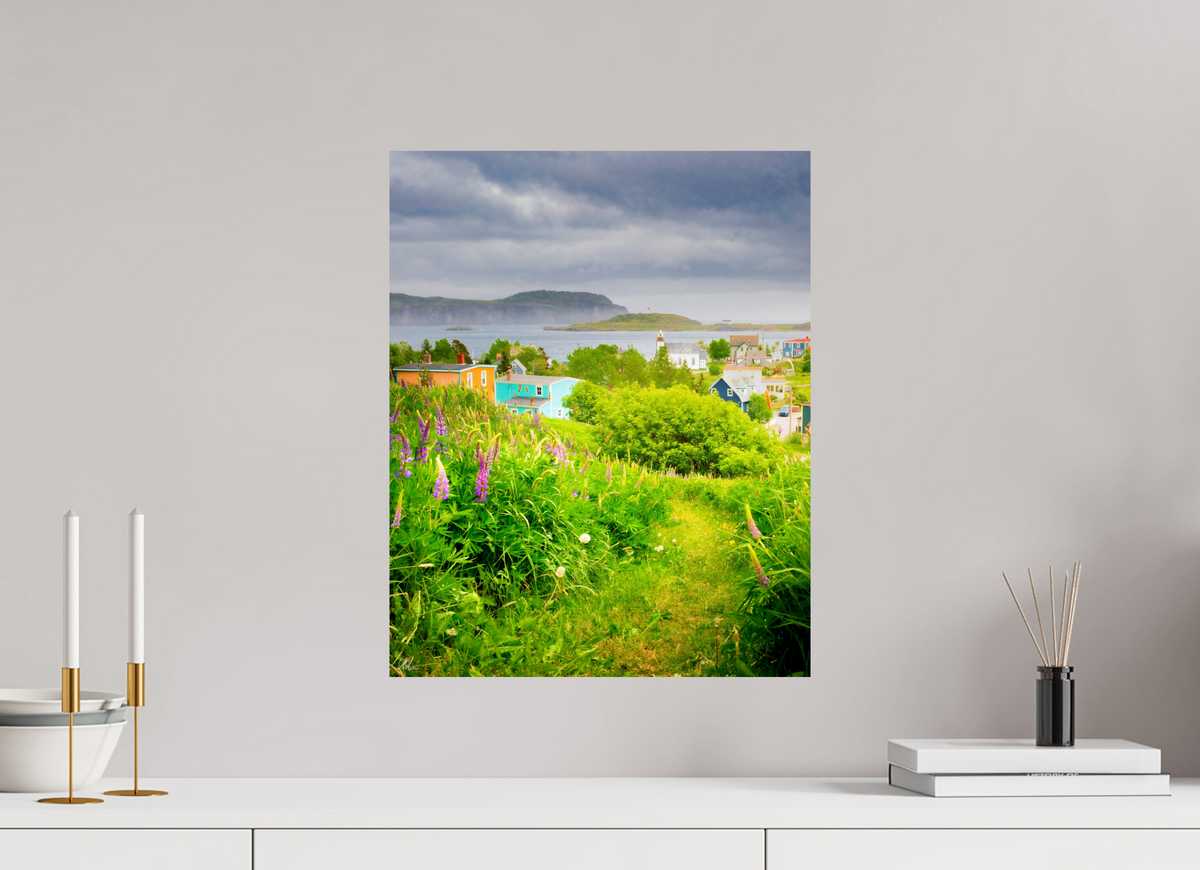40 x 50 cm, Print - Fuji Crystal Archive Lupins at Trinity