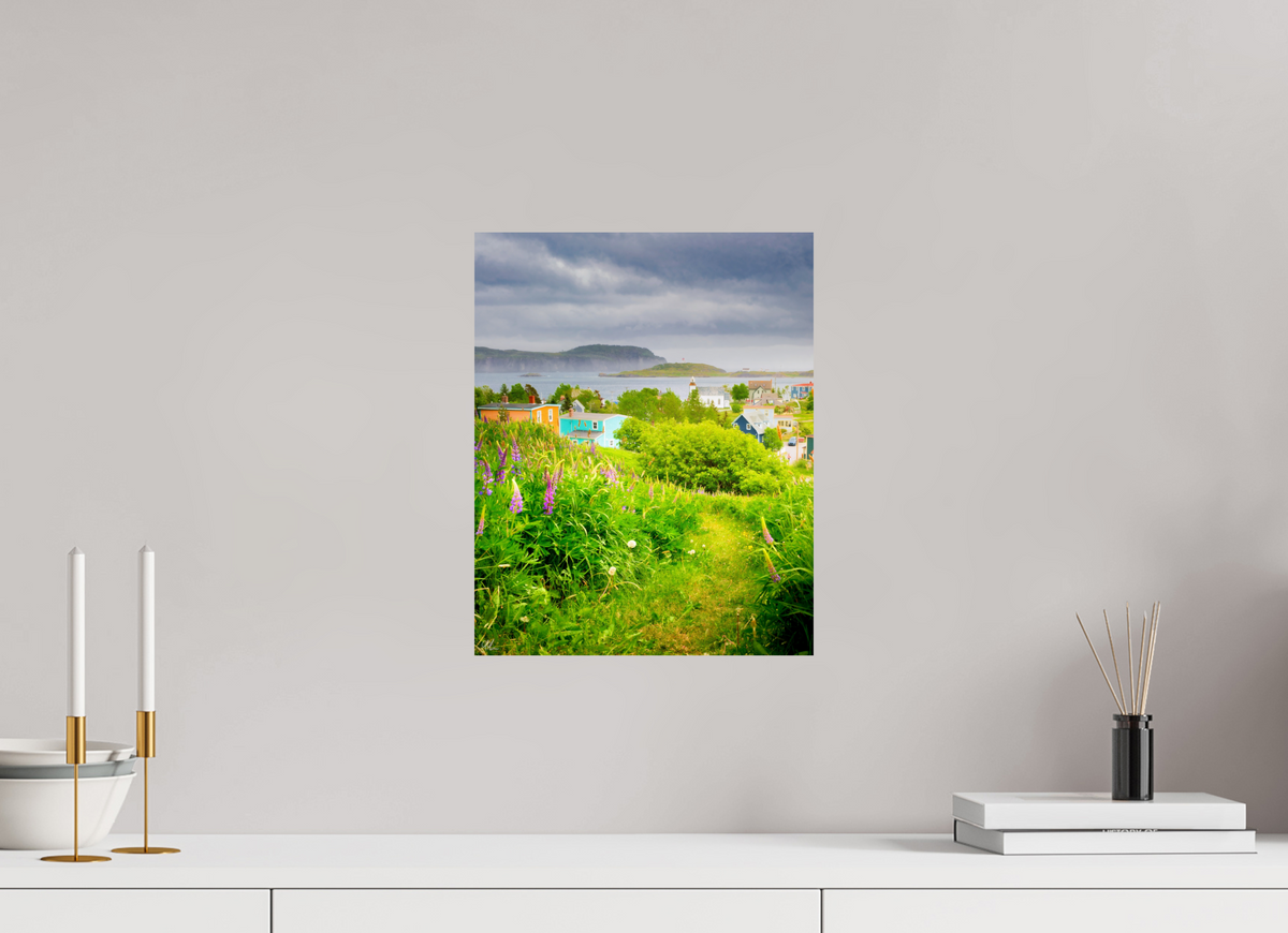 30 x 37.5 cm, Print - Fuji Crystal Archive Lupins at Trinity