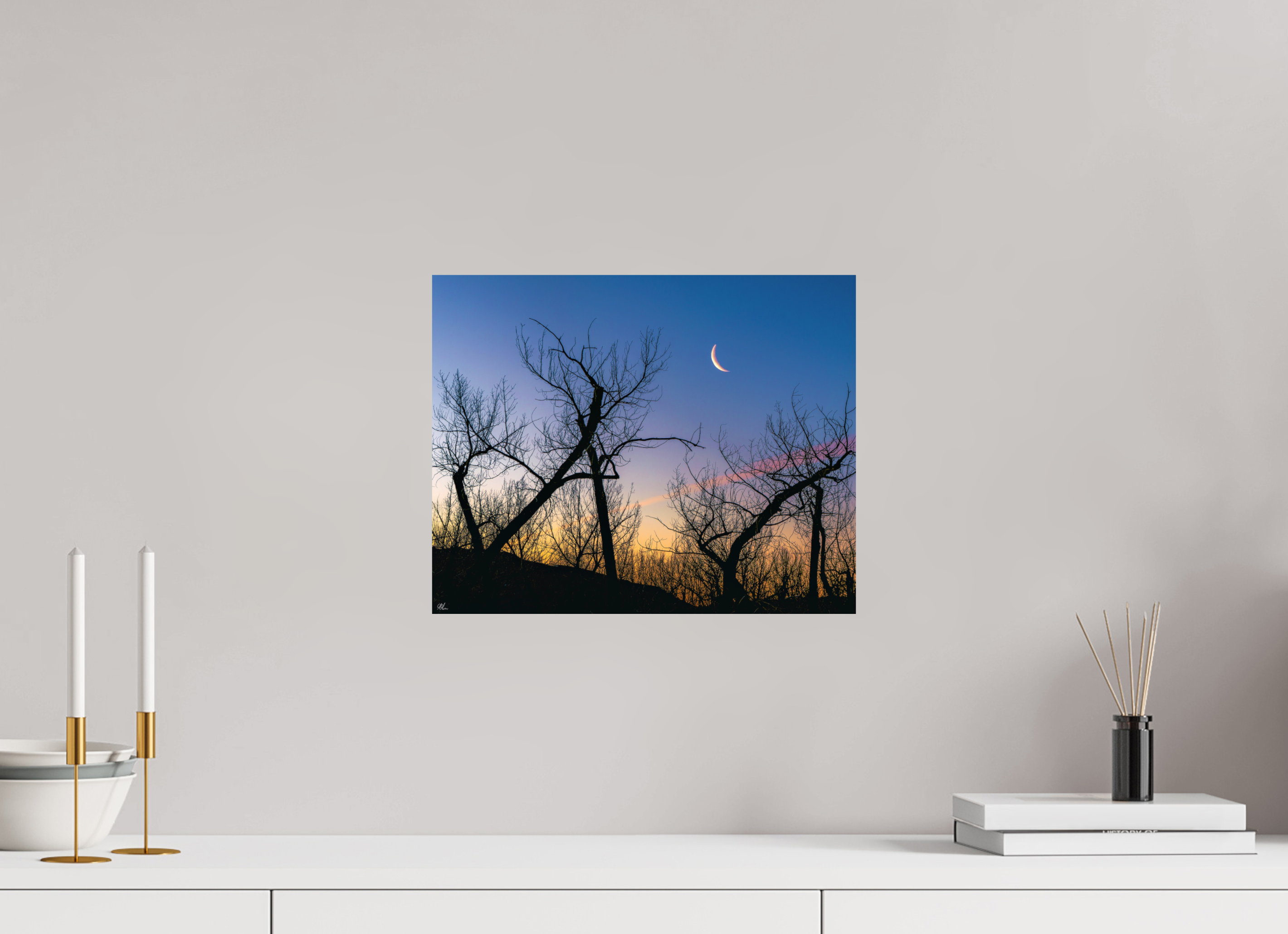 37.5 x 30 cm, Print - Fuji Crystal Archive Tangled