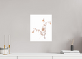 30 x 37.5 cm, Print - Fuji Crystal Archive The Resilience of a Snow Thistle